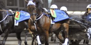 Säkert spel på trav