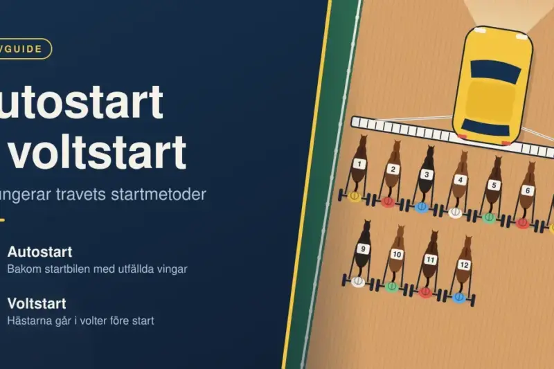 Illustration av en travbana sedd ovanifrån där tolv travhästar med sulky står uppställda i två led bakom en startbil med utfällda vingar, bredvid rubriken ”Autostart & voltstart – så fungerar travets startmetoder”.