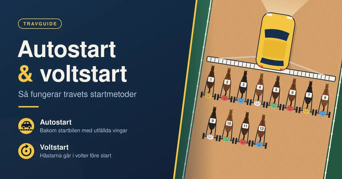 Illustration av en travbana sedd ovanifrån där tolv travhästar med sulky står uppställda i två led bakom en startbil med utfällda vingar, bredvid rubriken ”Autostart & voltstart – så fungerar travets startmetoder”.