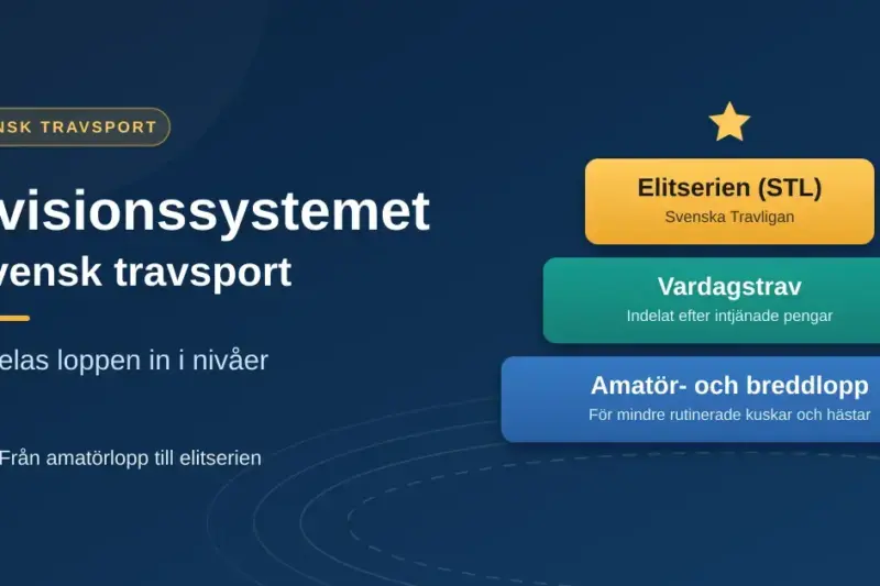 Grafik med rubriken ”Divisionssystemet i svensk travsport” och en trappstegspyramid som visar nivåerna amatör- och breddlopp, vardagstrav och elitserien STL.