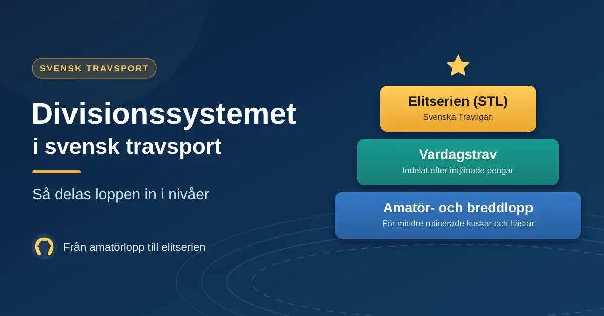 Grafik med rubriken ”Divisionssystemet i svensk travsport” och en trappstegspyramid som visar nivåerna amatör- och breddlopp, vardagstrav och elitserien STL.