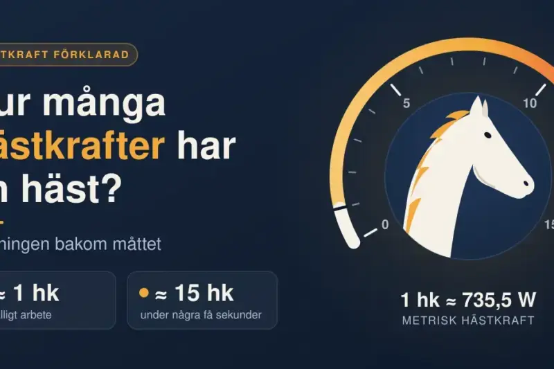 Grafisk illustration med ett stiliserat hästhuvud i en mätare som visar 0–15 hästkrafter, bredvid rubriken "Hur många hästkrafter har en häst?" och faktarutor om att en häst orkar cirka 1 hk uthålligt och nästan 15 hk under några få sekunder.