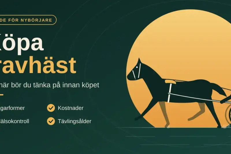 Illustration av en travhäst med sulky och kusk i siluett mot en gyllene sol, bredvid rubriken ”Köpa travhäst”, underrubriken ”Det här bör du tänka på innan köpet” och en checklista med ägarformer, kostnader, hälsokontroll och tävlingsålder.