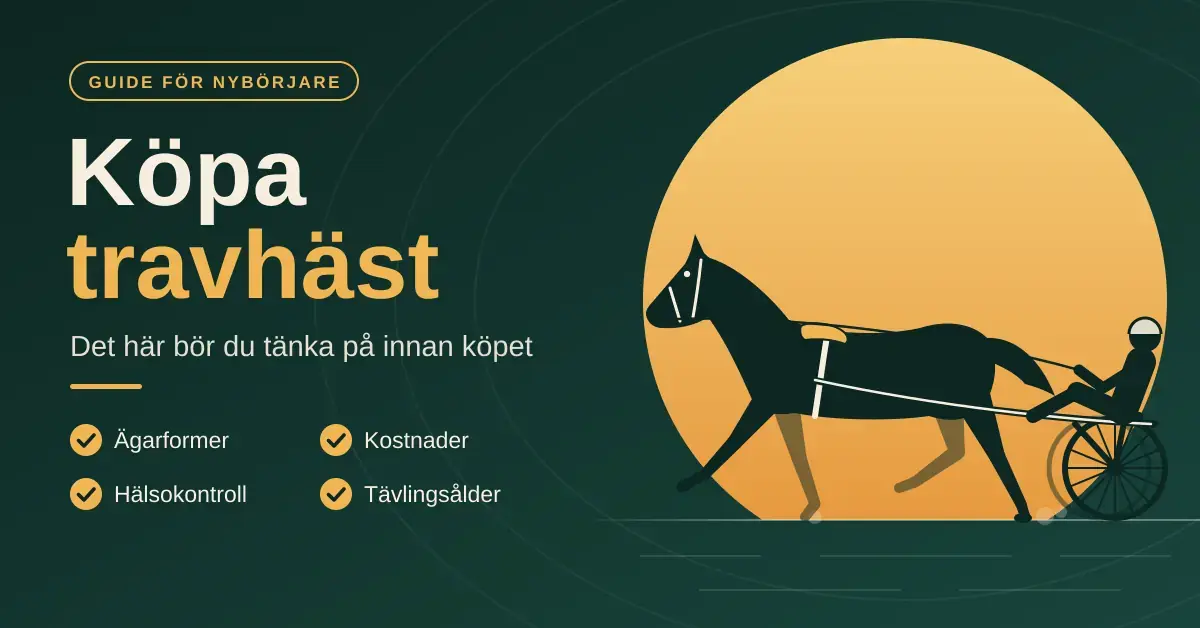 Illustration av en travhäst med sulky och kusk i siluett mot en gyllene sol, bredvid rubriken ”Köpa travhäst”, underrubriken ”Det här bör du tänka på innan köpet” och en checklista med ägarformer, kostnader, hälsokontroll och tävlingsålder.