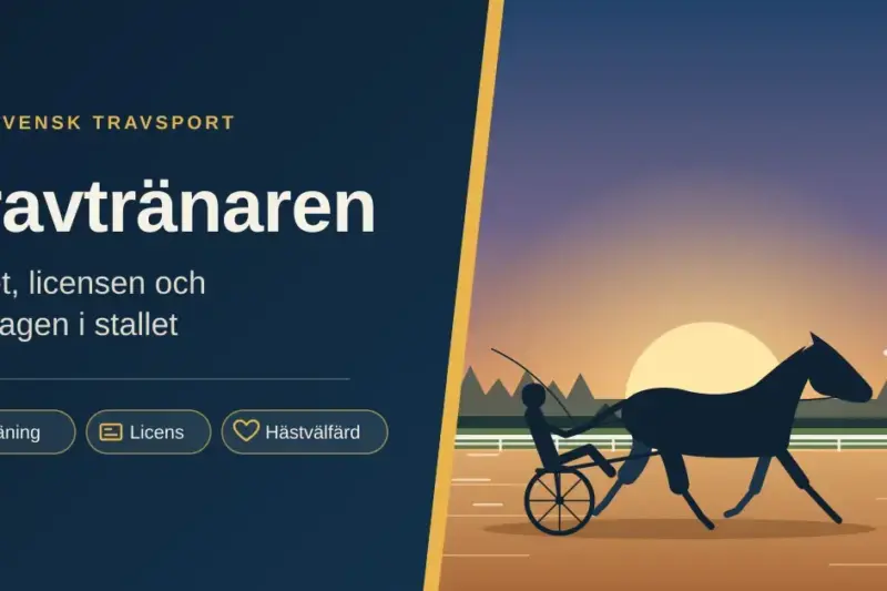 Illustration av en travhäst med sulky och kusk som travar på banan i soluppgången framför ett rött stall, bredvid rubriken ”Travtränaren – yrket, licensen och vardagen i stallet”.