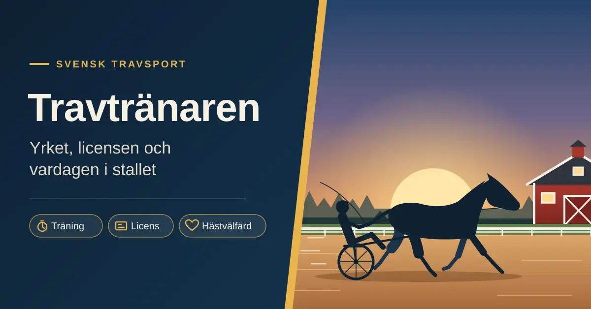Illustration av en travhäst med sulky och kusk som travar på banan i soluppgången framför ett rött stall, bredvid rubriken ”Travtränaren – yrket, licensen och vardagen i stallet”.