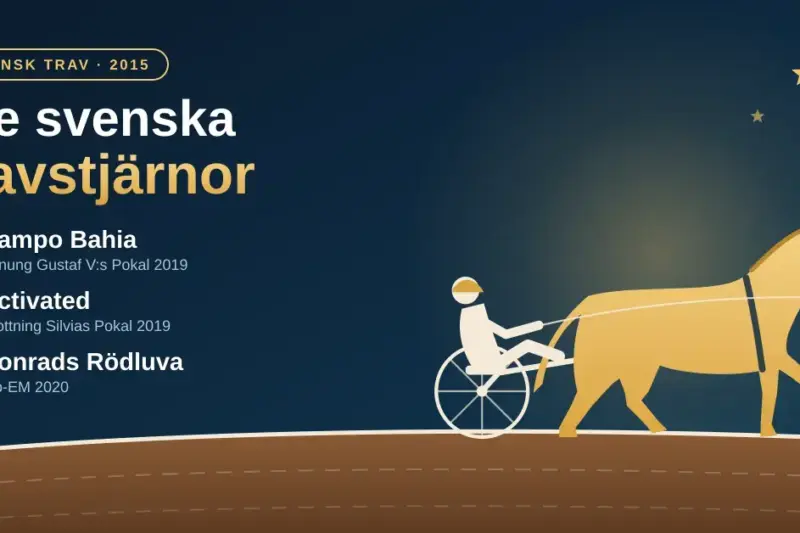 Grafisk illustration av en guldfärgad travhäst med sulky och kusk på en travbana under kvällshimmel, bredvid rubriken "Tre svenska travstjärnor" och namnen Campo Bahia, Activated och Conrads Rödluva med deras största segrar.