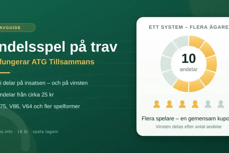 Infografik om andelsspel på trav med rubriken ”Andelsspel på trav – så fungerar ATG Tillsammans” och ett cirkeldiagram som visar hur ett spelsystem delas upp i tio andelar mellan flera spelare.