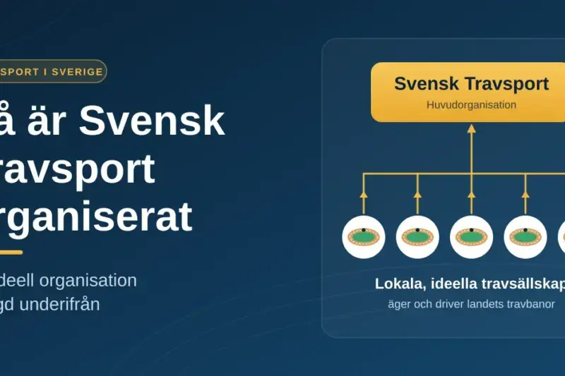 Grafik med rubriken "Så är Svensk Travsport organiserat" och ett organisationsschema där pilar går från lokala, ideella travsällskap upp till huvudorganisationen Svensk Travsport, vilket visar att organisationen är byggd underifrån.