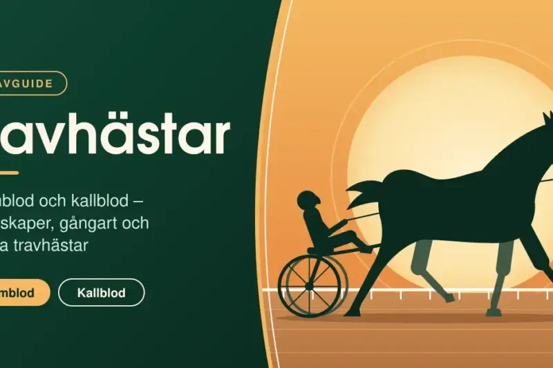 Illustration av en travhäst med sulky och kusk i silhuett mot en solnedgång på travbanan, bredvid rubriken ”Travhästar” och texten om varmblod och kallblod.