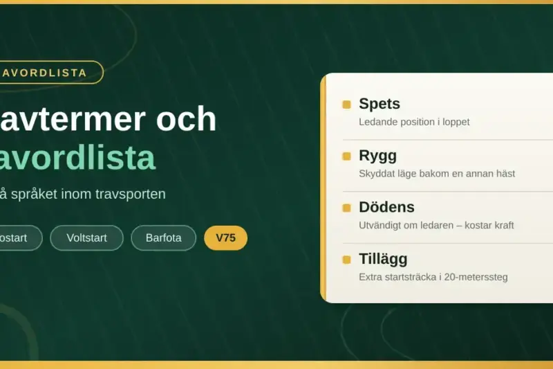 Grafik med rubriken "Travtermer och travordlista" och ett kort som förklarar travtermerna spets, rygg, dödens och tillägg.